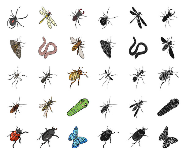 Erilaisia hyönteisiä sarjakuva, musta kuvakkeet asetettu kokoelma suunnitteluun. Hyönteisten niveljalkainen vektori isometrinen symboli varastossa web kuva
. - Vektori, kuva