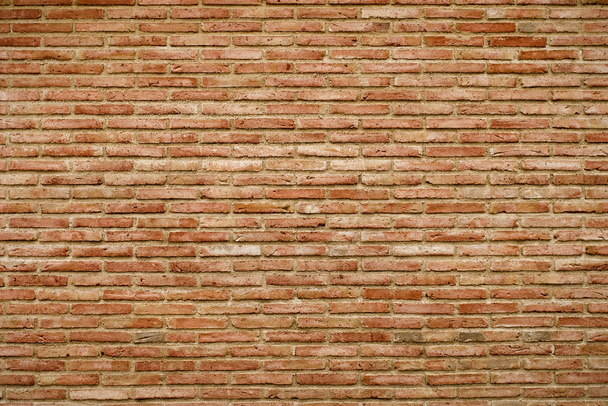 Muro de ladrillo
 - Foto, Imagen