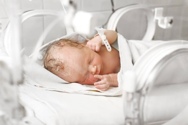 Newborn in an incubator.A newborn baby in an incubator in a hospital ward. - Фото, изображение