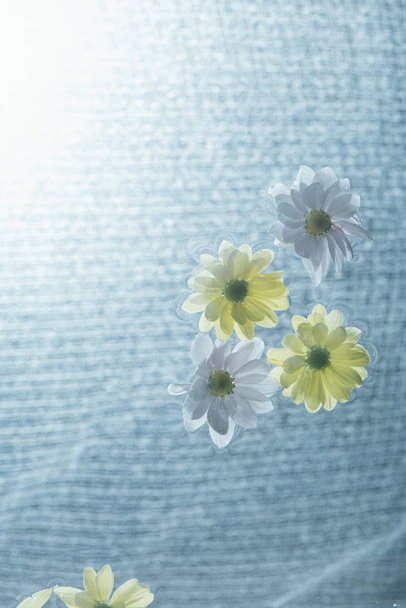 close up of white and yellow flowers on water with sunlight - Fotoğraf, Görsel