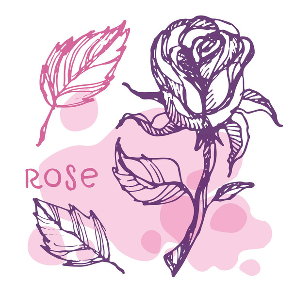 Χέρι doodle σύνολο floral τέχνη - τριαντάφυλλο - Διάνυσμα, εικόνα