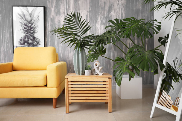 grüne tropische Pflanzen im Wohnzimmer - Foto, Bild