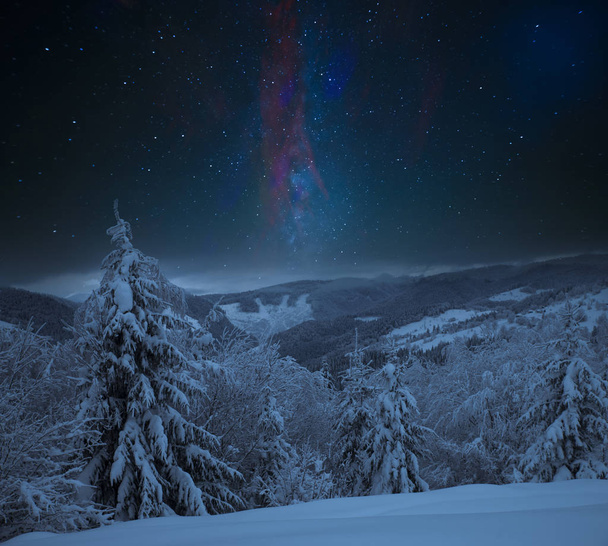 Snowy łąka w Las świerkowy w nocy w świetle księżyca w pełni - Zdjęcie, obraz