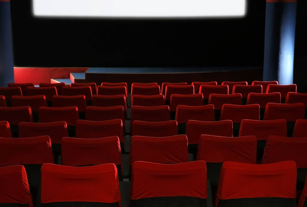 Empty cinema with comfortable chairs - Photo, Image