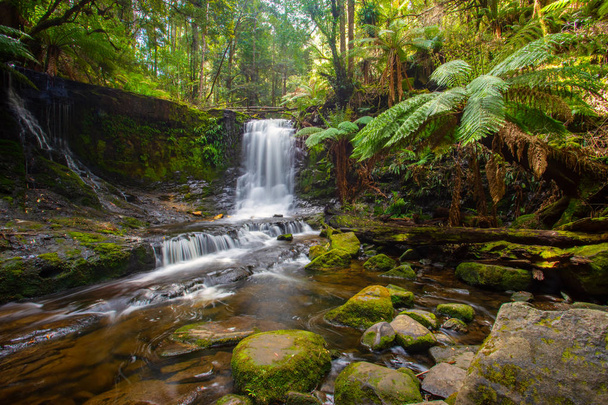 Horeshoe は、ホバート、タスマニア、オーストラリアに近いマウント フィールド国立公園内の滝します。 - 写真・画像
