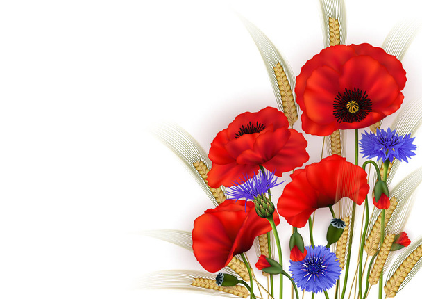 Illustration of template for wedding, greeting or invitation card with poppy flowers, cornflowers and wheat ears isolated - Vector, Image