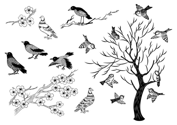 Illustration handgezeichneter Elstern, Spatzen, Tauben und isolierter Bäume - Vektor, Bild