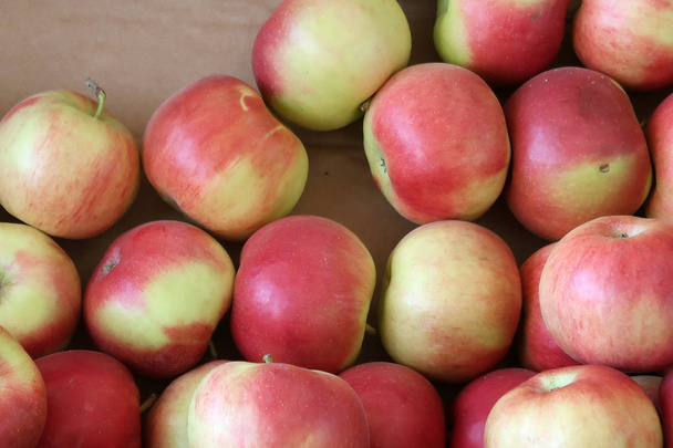 Manzanas maduras en una caja
 - Foto, Imagen