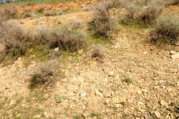 malebný výhled na kopce zelené stepní - Fotografie, Obrázek