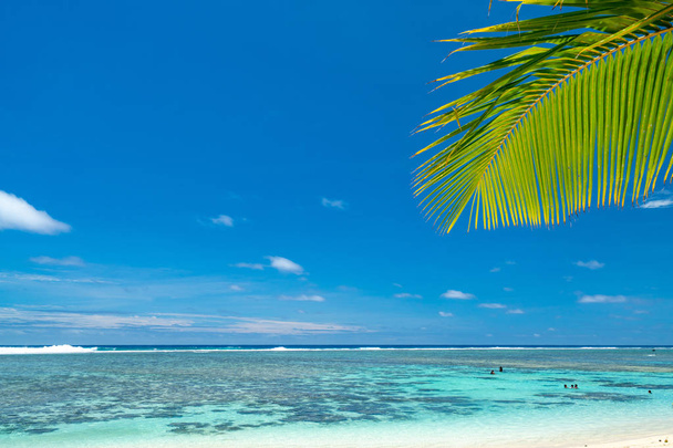 Een idyllische strand met palmbomen en blauw water in Rarotonga in de Cook eilanden - Foto, afbeelding