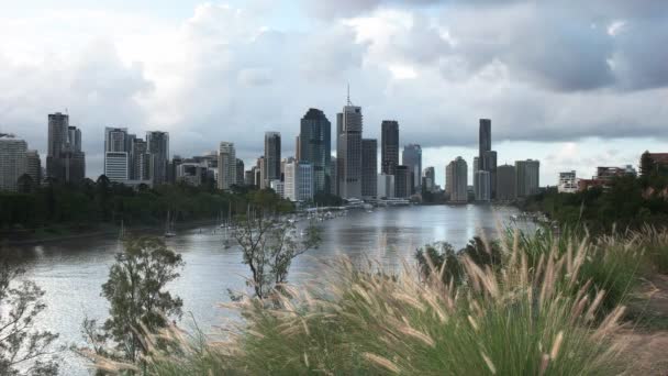 afternoon view from kangaroo point of brisbane, the capital city of queensland, australia - Footage, Video