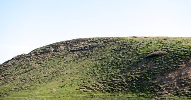 Green steppe hills, nature. - Фото, изображение