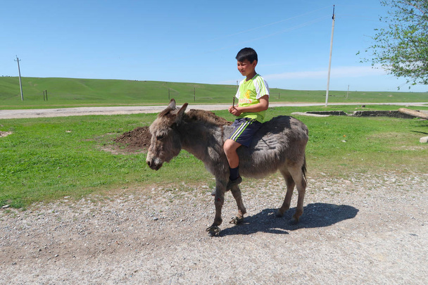 Kazakhstan, Shymkent - April 23, 2017. Kazakh boy on the donkey. Spring - Фото, зображення