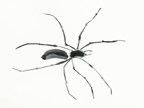 навчальний малюнок у стилі сумі-е (суйбокуга) з акварельними фарбами павук намальований рукою на кремовому папері
 - Фото, зображення