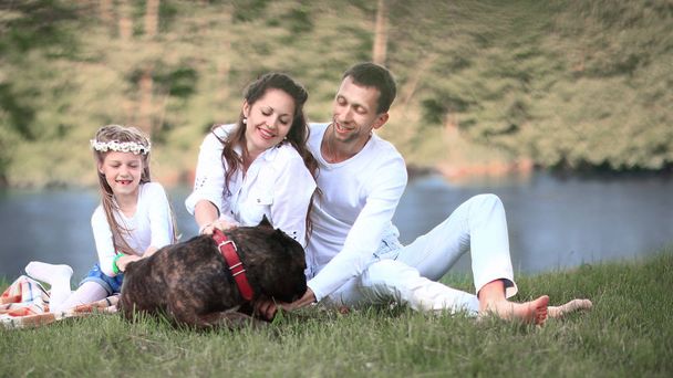 happy family with pet dog at picnic in a Sunny summer day. pregn - 写真・画像