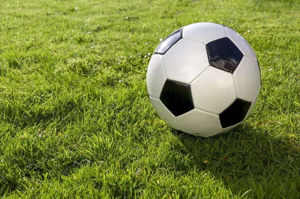 Çim Sahada Siyah Beyaz Futbol - Fotoğraf, Görsel