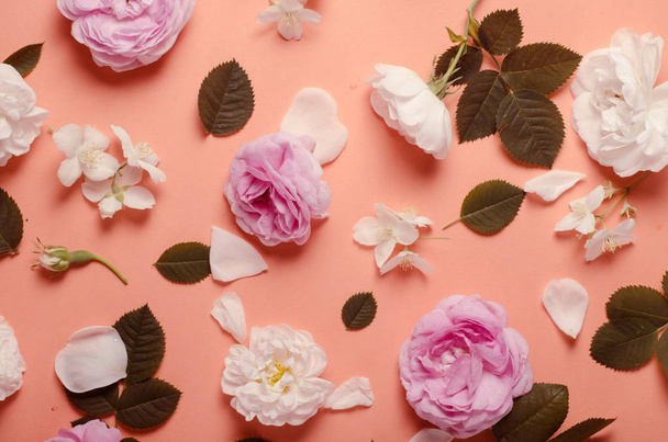 Λουλούδια τριαντάφυλλα τσαγιού σε ένα απαλό ροζ φόντο φόντο. Επίπεδη lay πρότυπο. - Φωτογραφία, εικόνα