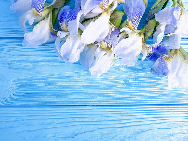beautiful flower iris on blue wooden background frame - Photo, Image