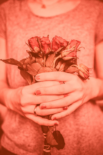 червоні троянди, як подарунок на день Святого Валентина для того, що ви любите - Фото, зображення