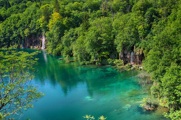 La splendida vista na l'acqua turchese limpida del lago di Plitvice. In quest'acqua vivono tutte le specie di pesci e uccelli. Sopra l'acqua è una passerella di legno per le persone a piedi intorno
. - Foto, immagini