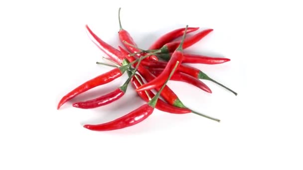 Červené chilli papričky, otáčení na bílém pozadí - Záběry, video