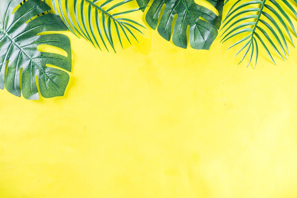 Тропический фон. Листья пальмы и чудовища на желто-синем фоне. Flatlay, вид сверху, минимальная планировка, летняя концепция
 - Фото, изображение