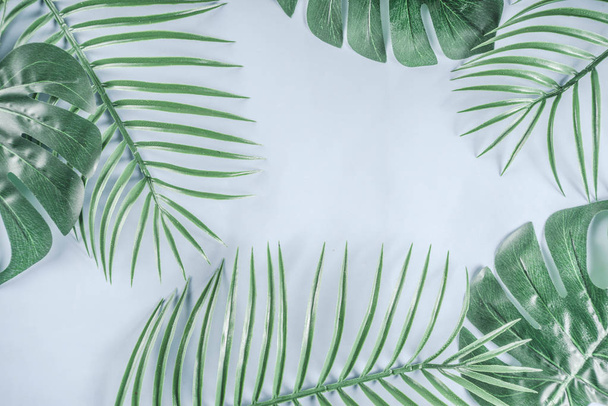 Tropikal arka plan. Palmiye ve monstera yaprakları sarı mavi zemin üzerine. Flatlay, üstten görünüm, minimal düzen, yaz konsepti - Fotoğraf, Görsel