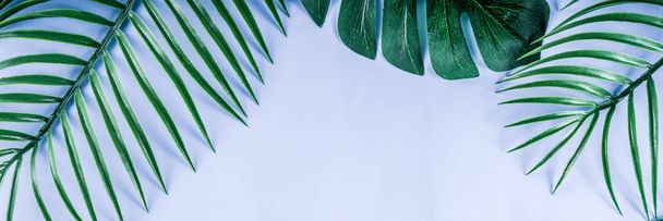 Tropischer Hintergrund. Palmen- und Monsterblätter auf gelb-blauem Hintergrund. Flaches Layout, Draufsicht, minimales Layout, Sommerkonzept - Foto, Bild