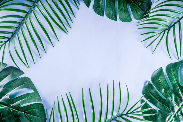 Tropical background. Palm and monstera leaves on yellow blue  background. Flatlay, top view, minimal layout, summer concept - Zdjęcie, obraz