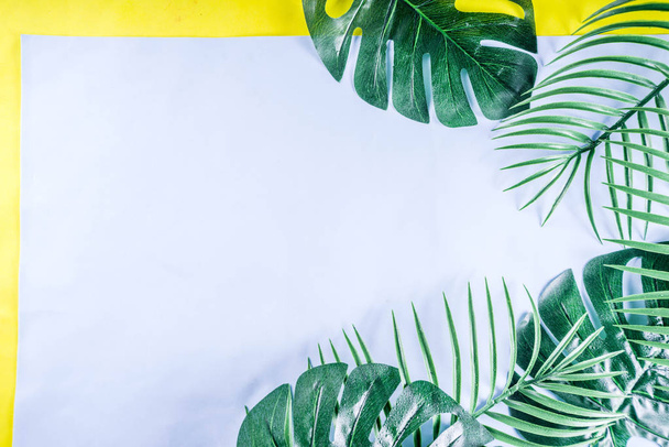 Tropische achtergrond. Palm en monstera bladeren op geel blauwe achtergrond. Flatlay, bovenaanzicht, minimale lay-out, zomer concept - Foto, afbeelding