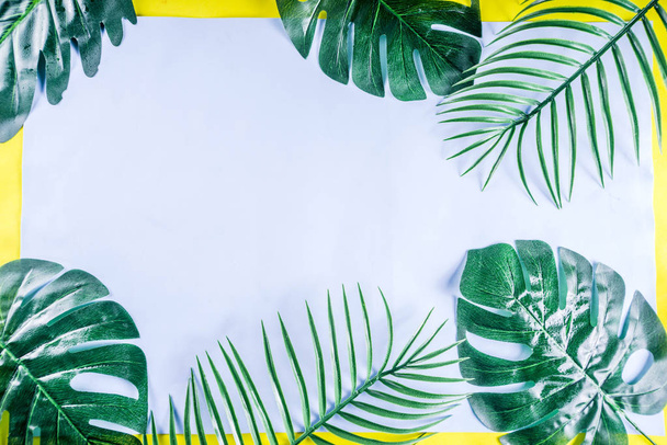 Tropical background. Palm and monstera leaves on yellow blue  background. Flatlay, top view, minimal layout, summer concept - Zdjęcie, obraz