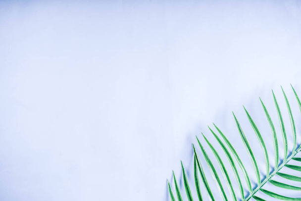 Fondo tropical. Hojas de palmera y monstera sobre fondo azul amarillo. Pisos, vista superior, diseño mínimo, concepto de verano
 - Foto, Imagen