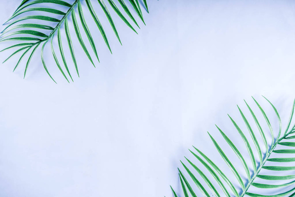 Fondo tropical. Hojas de palmera y monstera sobre fondo azul amarillo. Pisos, vista superior, diseño mínimo, concepto de verano
 - Foto, imagen