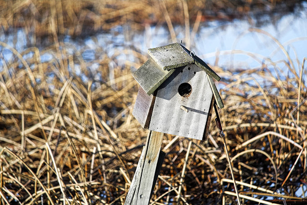 juncos secos em torno de uma casa de passarinho rústica em uma cerca
 - Foto, Imagem