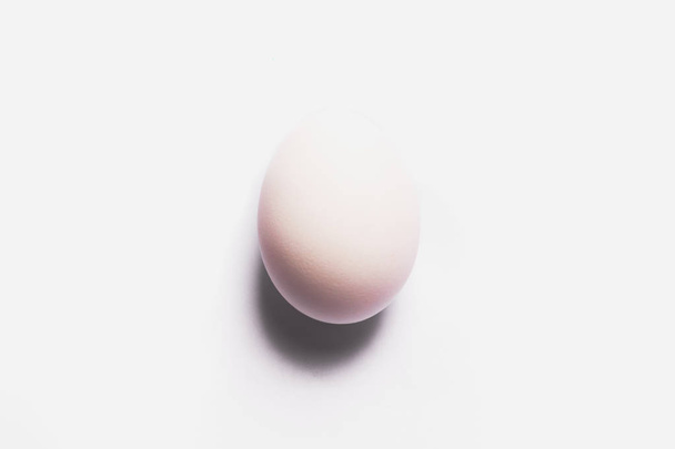 White egg on black background. - 写真・画像