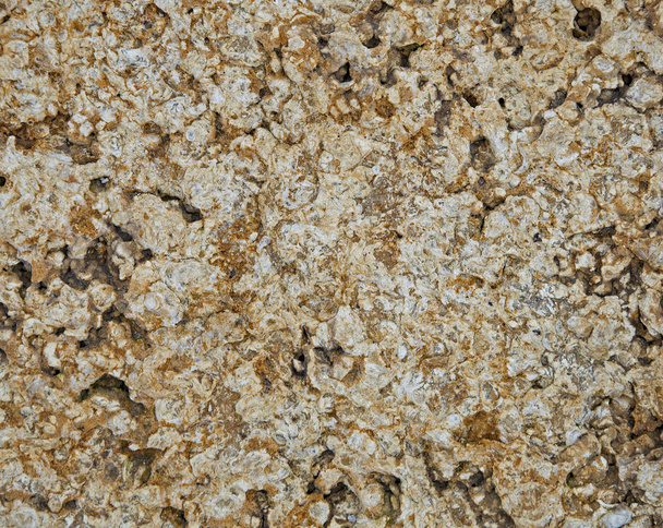 The texture of natural stone. The background is brown and white. - Photo, Image