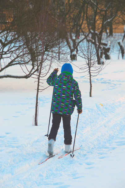 bambino sciare tra gli alberi del parco
 - Foto, immagini