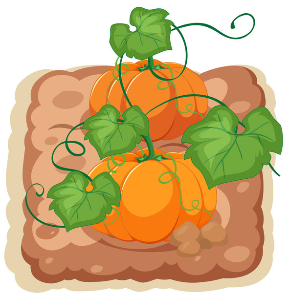 An isolated pumpkin farm illustration - ベクター画像