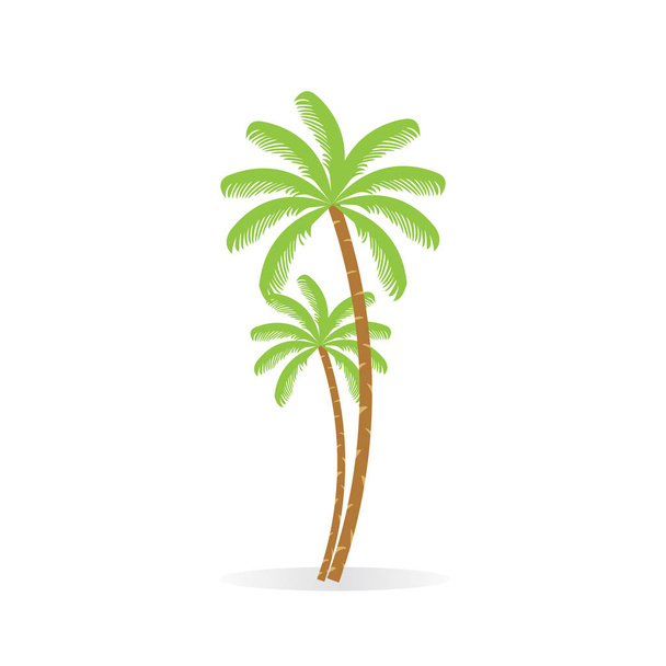 Kokosnussbaum. Palme mit einem Bund Kokosfrüchte. Isoliert. Weißer Hintergrund. - Vektor, Bild