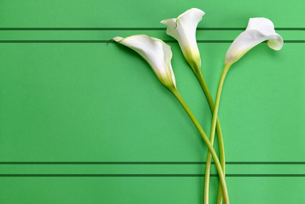 Valkoinen calla liljat vihreä kirja taustalla.Top view
. - Valokuva, kuva