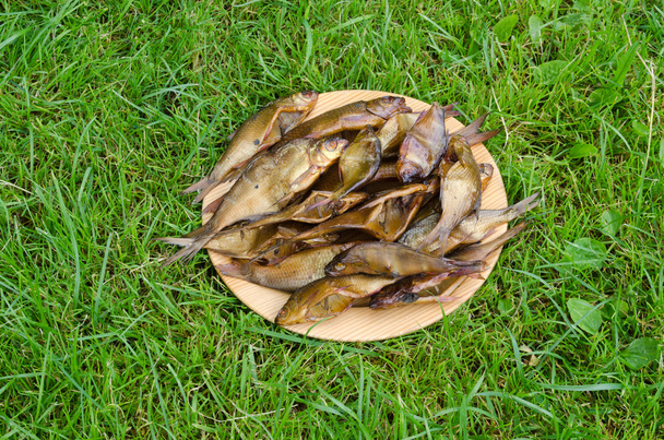 fresco fumado saúde ecológica peixe prato grama verde
 - Foto, Imagem