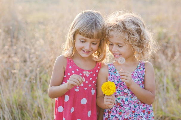 Two sisters playing with dried dandelions in meadow - Photo, Image