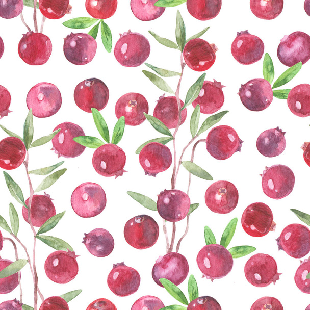 Watercolor Cranberries seamless vector background - Foto, Imagem