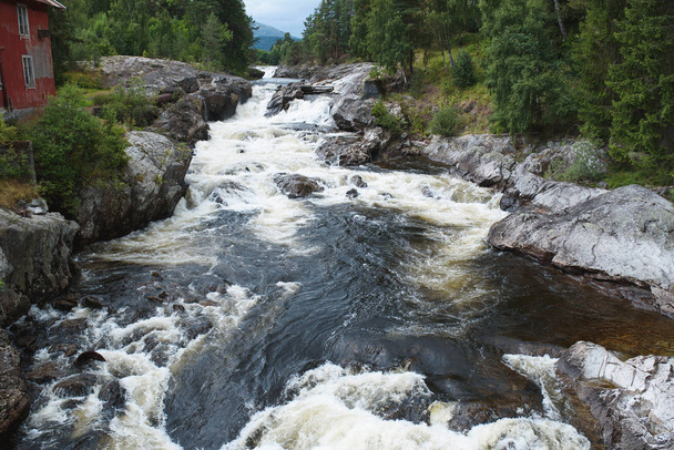 森の山の川の高速流れ - 写真・画像