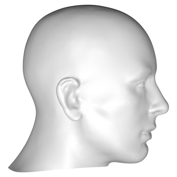  menselijk hoofd, abstracte achtergrond - 3d illustratie - Foto, afbeelding
