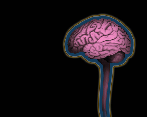  sfondo cervello umano - Illustrazione 3D
 - Foto, immagini