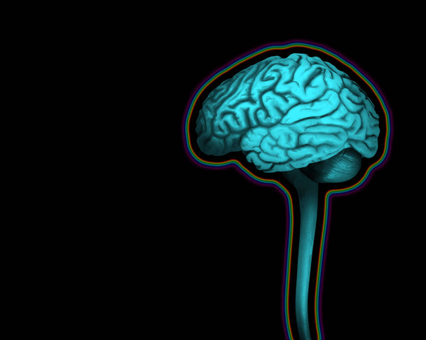  Fondo del cerebro humano - Ilustración 3D
 - Foto, imagen