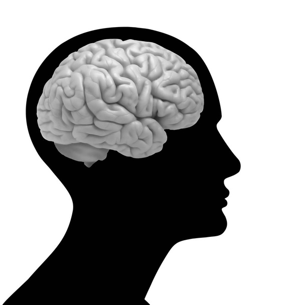  ανθρώπινος εγκέφαλος φόντο - 3d απεικόνιση - Φωτογραφία, εικόνα
