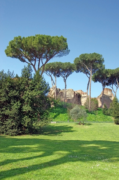 Palatine Hill in Rome - Photo, Image