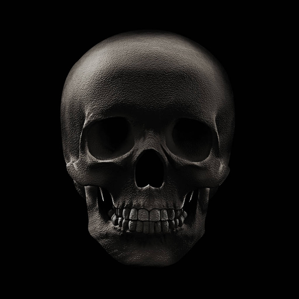  colored human skull, decoration  - Illustration - Photo, Image